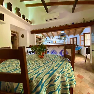 Puerto De Pollensa And Apartments, With Private Mountain Ideal For Runners, Trailers,near Approximately 5 Minutes Walking, Unique Experience In A Ullal Old Typical Mallorca House With Private Mountain And Near To The Beac , Port de Pollença Spanien